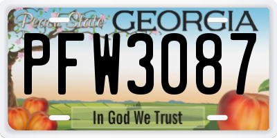 GA license plate PFW3087
