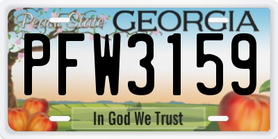 GA license plate PFW3159
