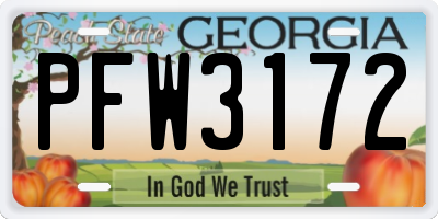 GA license plate PFW3172