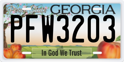 GA license plate PFW3203