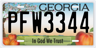 GA license plate PFW3344