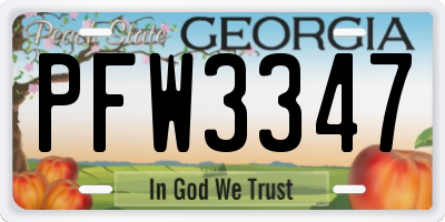 GA license plate PFW3347