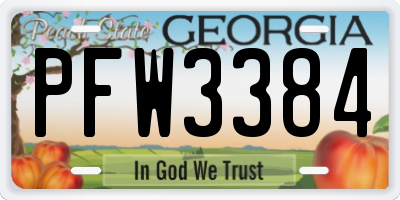 GA license plate PFW3384