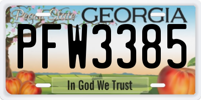 GA license plate PFW3385
