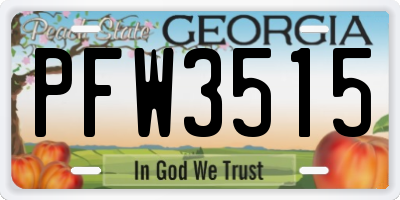 GA license plate PFW3515