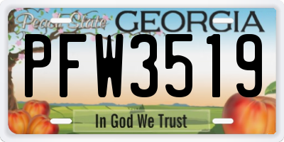 GA license plate PFW3519