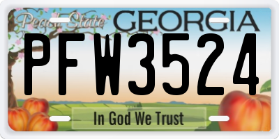 GA license plate PFW3524