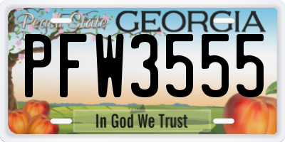 GA license plate PFW3555