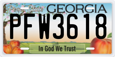 GA license plate PFW3618