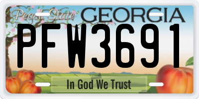 GA license plate PFW3691