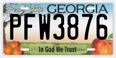 GA license plate PFW3876