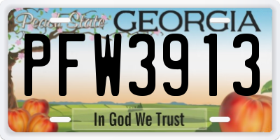 GA license plate PFW3913