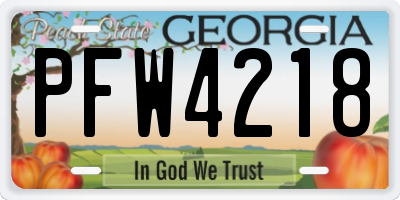 GA license plate PFW4218