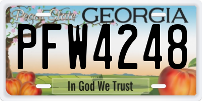 GA license plate PFW4248