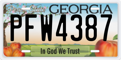 GA license plate PFW4387
