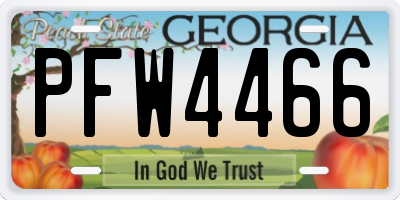 GA license plate PFW4466