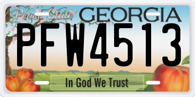 GA license plate PFW4513