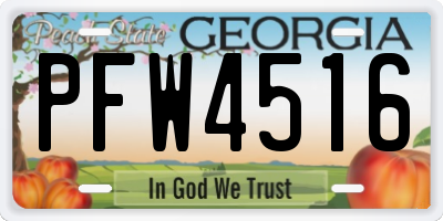 GA license plate PFW4516