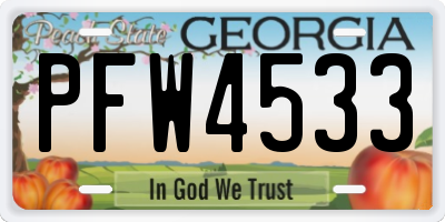 GA license plate PFW4533