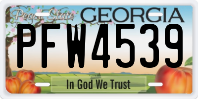 GA license plate PFW4539