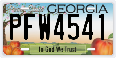GA license plate PFW4541