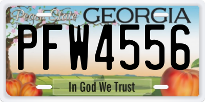 GA license plate PFW4556