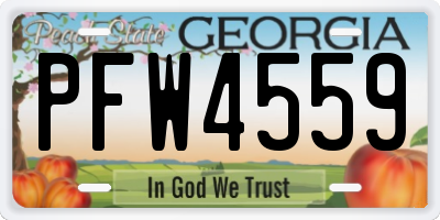 GA license plate PFW4559