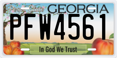 GA license plate PFW4561