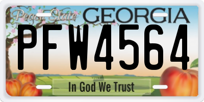 GA license plate PFW4564