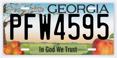 GA license plate PFW4595