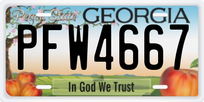 GA license plate PFW4667