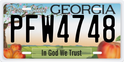 GA license plate PFW4748