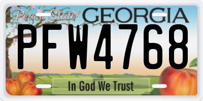 GA license plate PFW4768