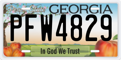 GA license plate PFW4829
