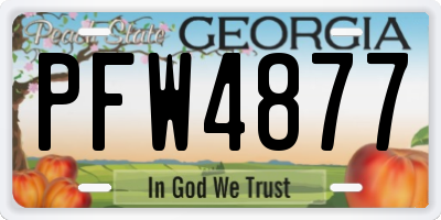GA license plate PFW4877