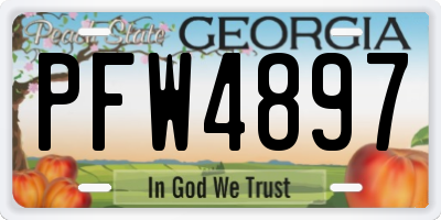 GA license plate PFW4897