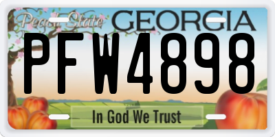GA license plate PFW4898