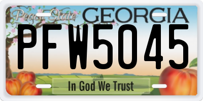 GA license plate PFW5045