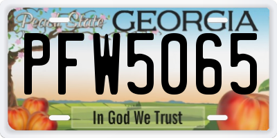 GA license plate PFW5065