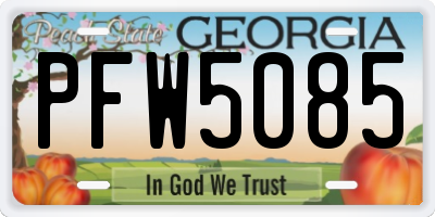 GA license plate PFW5085