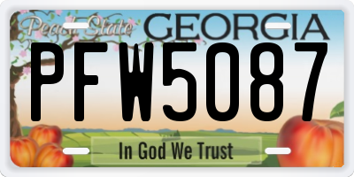 GA license plate PFW5087