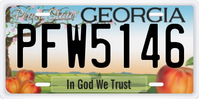 GA license plate PFW5146