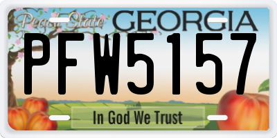 GA license plate PFW5157