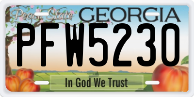 GA license plate PFW5230
