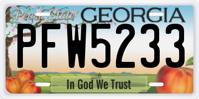 GA license plate PFW5233