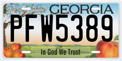 GA license plate PFW5389