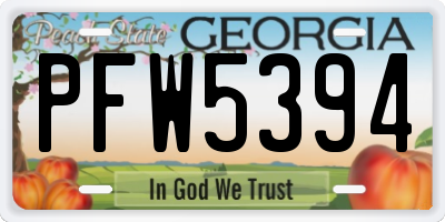 GA license plate PFW5394