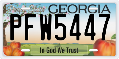 GA license plate PFW5447