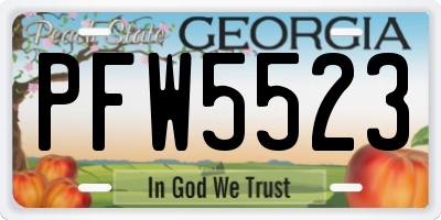 GA license plate PFW5523