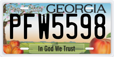 GA license plate PFW5598